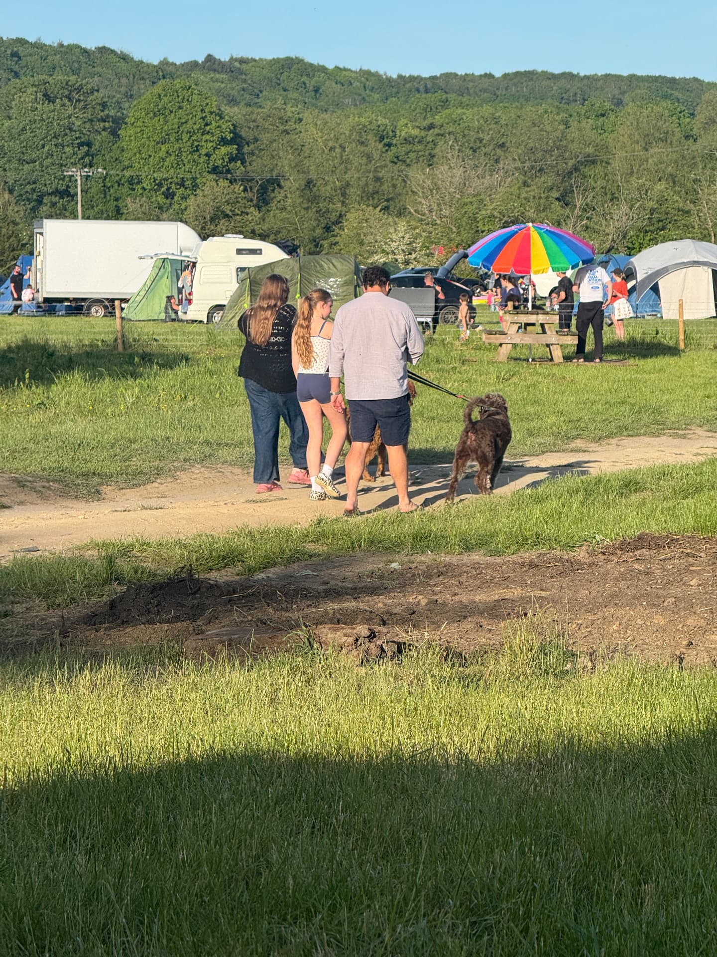 Guests walking their dogs through the campsite