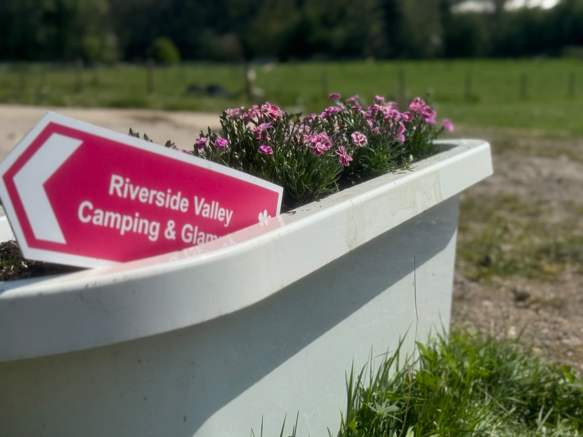 Riverside Valley Camping sign in a flower planter