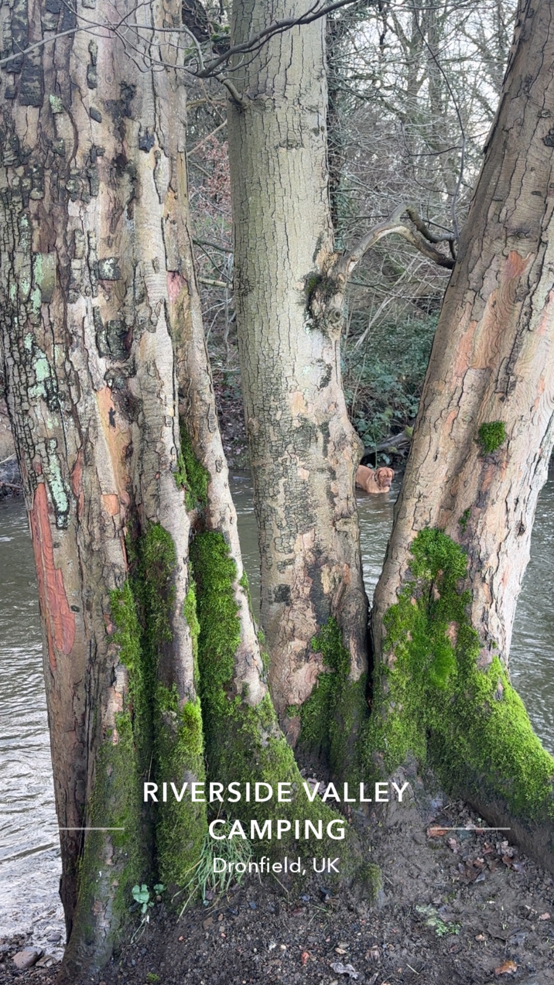 Riverside walks near the campsite